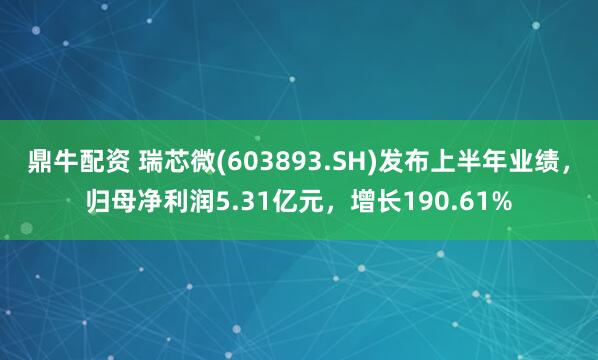 鼎牛配资 瑞芯微(603893.SH)发布上半年业绩，归母净利润5.31亿元，增长190.61%