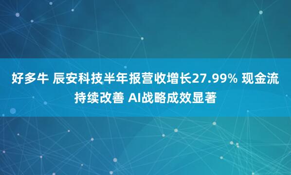 好多牛 辰安科技半年报营收增长27.99% 现金流持续改善 AI战略成效显著