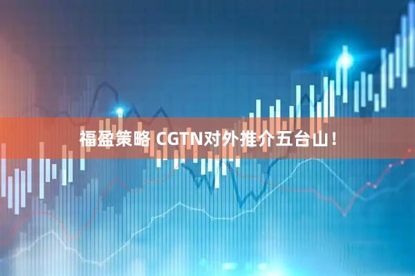 福盈策略 CGTN对外推介五台山！