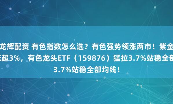 龙辉配资 有色指数怎么选？有色强势领涨两市！紫金矿业涨超3%，有色龙头ETF（159876）猛拉3.7%站稳全部均线！