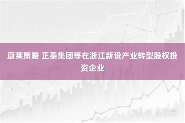 蔚莱策略 正泰集团等在浙江新设产业转型股权投资企业